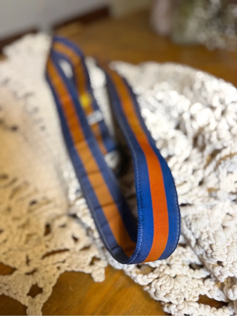 Vintage Y2K Abercrombie & Fitch Moose D Ring Belt Blue Orange Stripe Preppy